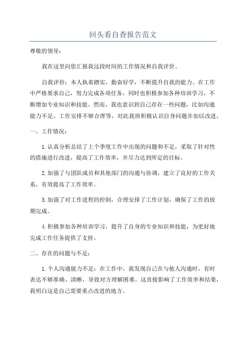 回头看自查报告范文