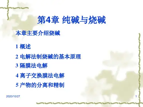 化工工艺学第4章纯碱与烧碱