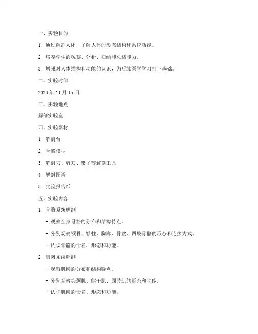 解剖人体的实验报告