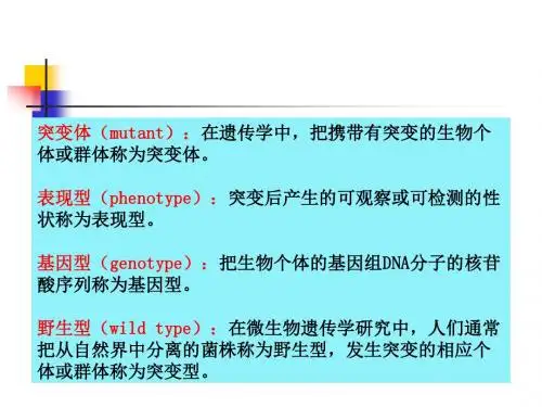 第二章基因突变和损伤DNA的修复
