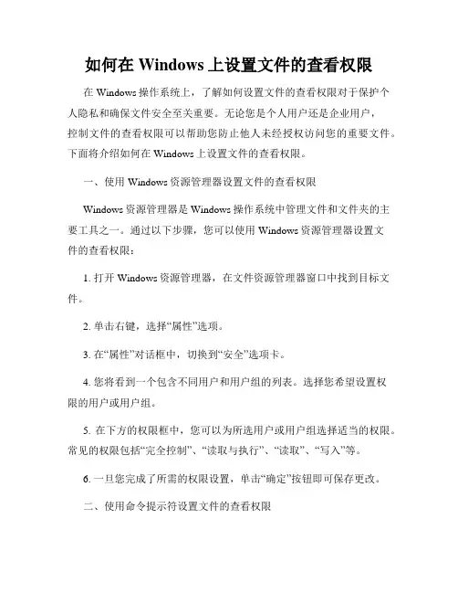 如何在Windows上设置文件的查看权限