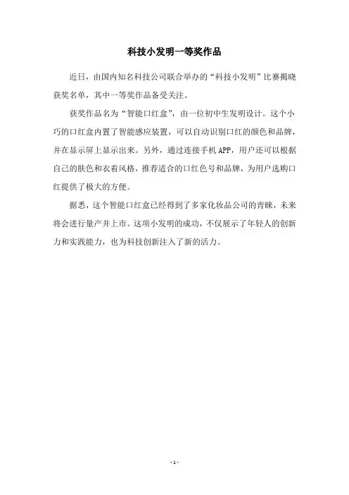 科技小发明一等奖作品