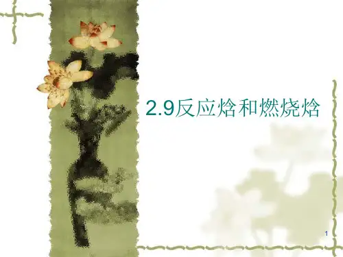2.9反应焓和燃烧焓