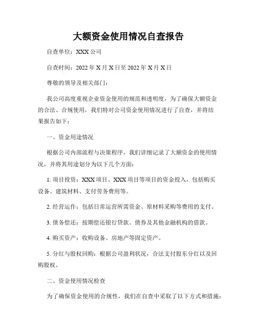 大额资金使用情况自查报告