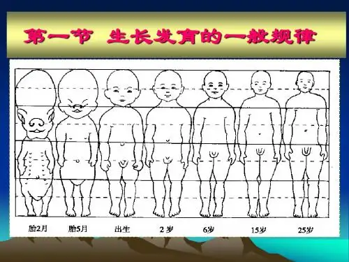 生长发育的一般规律PPT课件