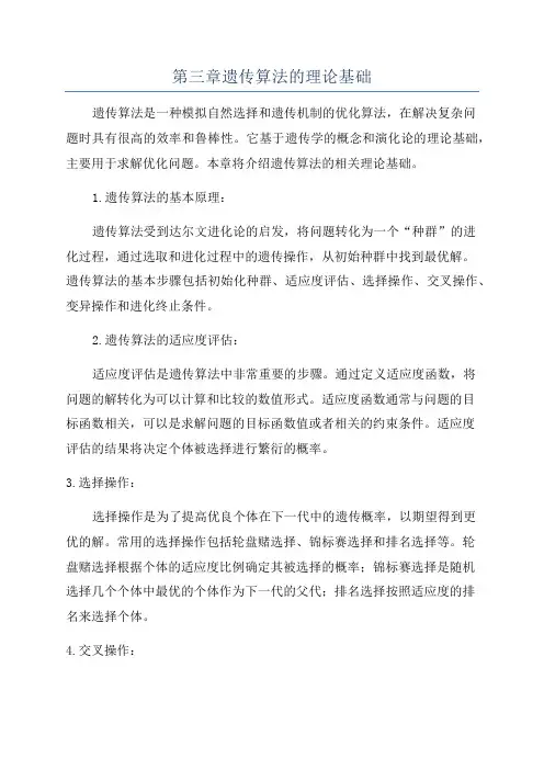 第三章遗传算法的理论基础