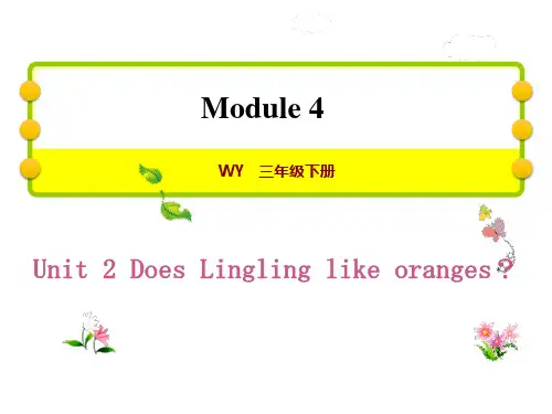 外研版三年级英语下册Does Lingling like oranges
