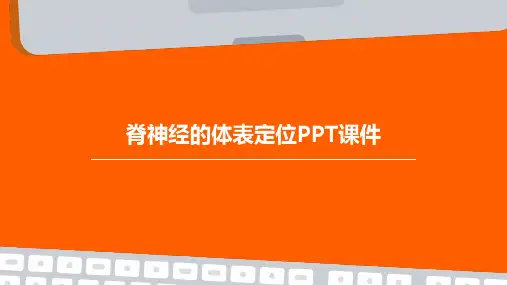 脊神经的体表定位PPT课件