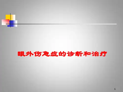 眼外伤的诊断和处理PPT课件