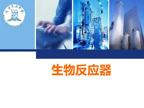 生物反应器