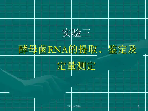 实验三酵母核糖核酸(RNA)的提取