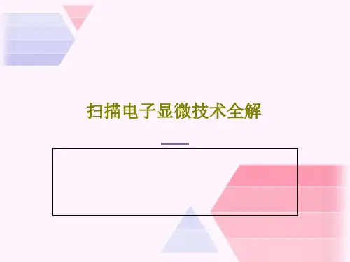 扫描电子显微技术全解57页PPT