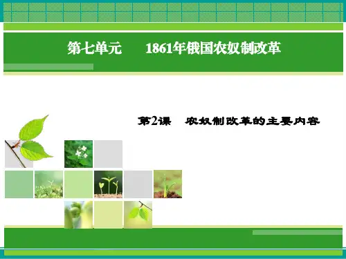 历史(人教版选修1)课件7.2农奴制改革的主要内容