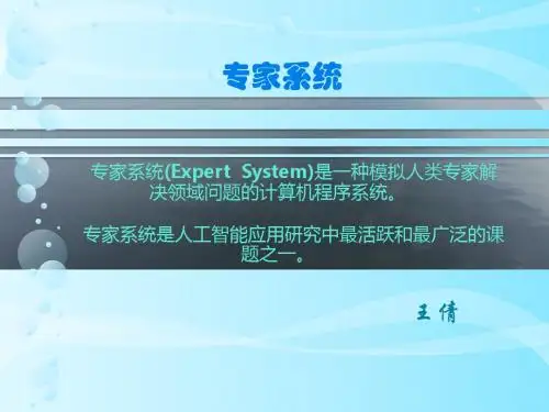 专家系统
