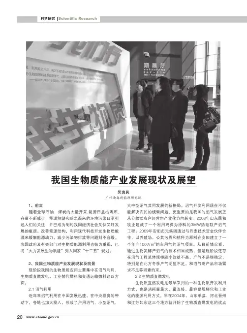 我国生物质能产业发展现状及展望(吴逸民)