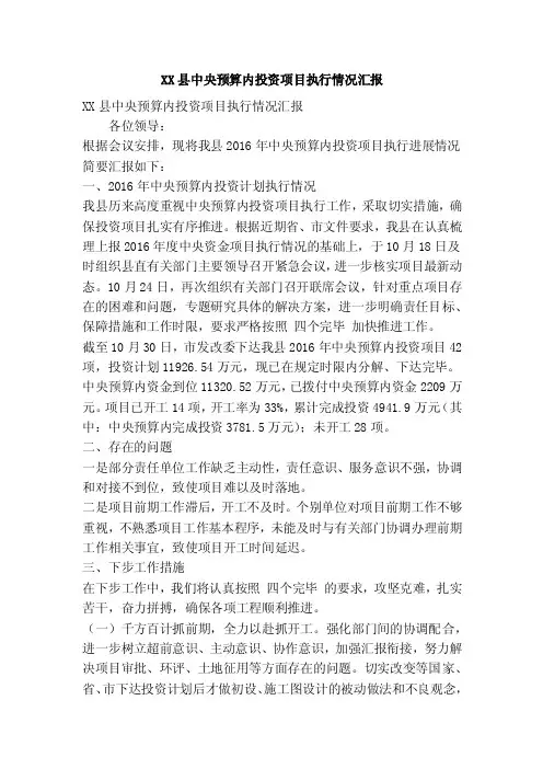 XX县中央预算内投资项目执行情况汇报（精简篇）