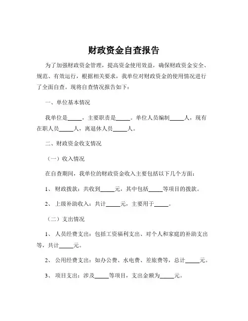 财政资金自查报告
