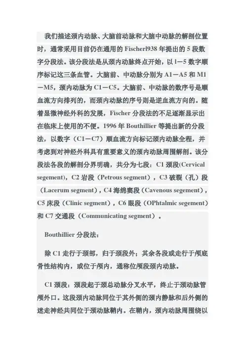 颈内动脉Bouthillier分段法