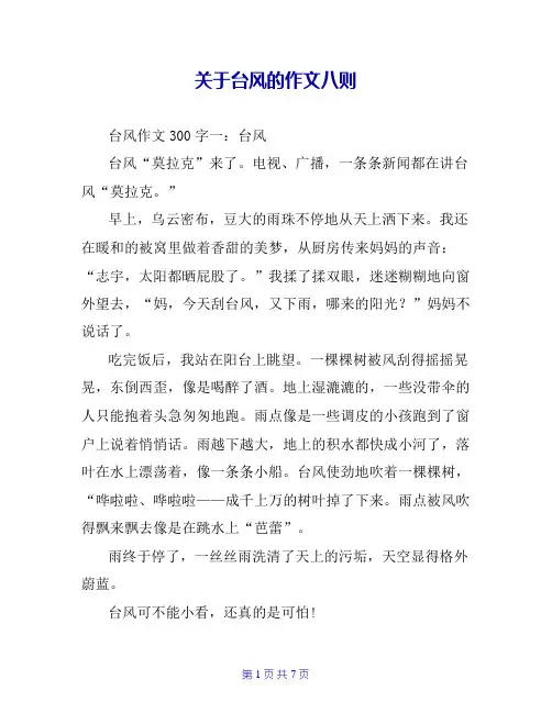 关于台风的作文八则