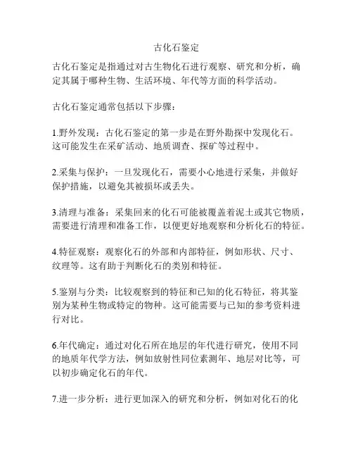古化石鉴定