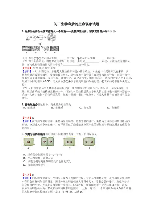 初三生物奇妙的生命现象试题

