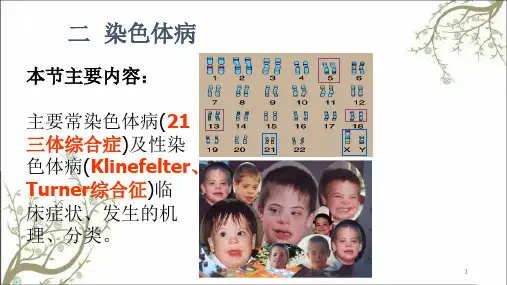 染色体病lsy课件