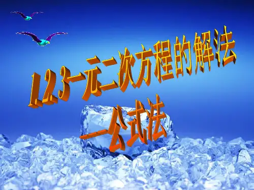 1.2.3一元二次方程的解法(公式法1)解读