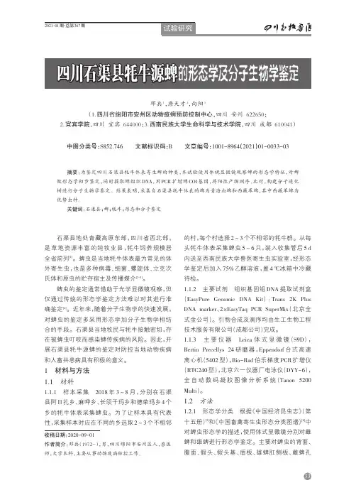 四川石渠县牦牛源蜱的形态学及分子生物学鉴定
