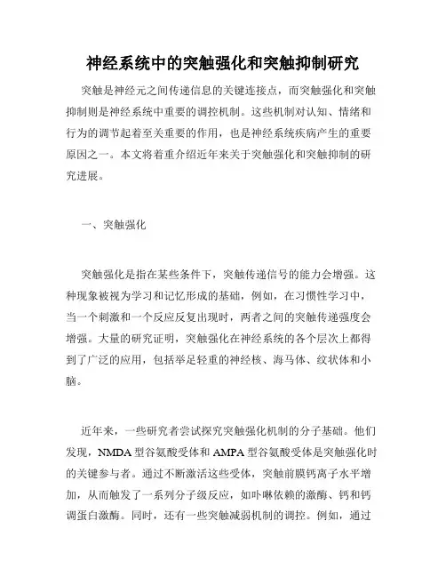 神经系统中的突触强化和突触抑制研究