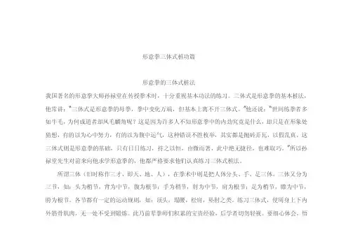 形意拳三体式桩功篇.doc