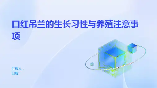 口红吊兰的生长习性与养殖注意事项