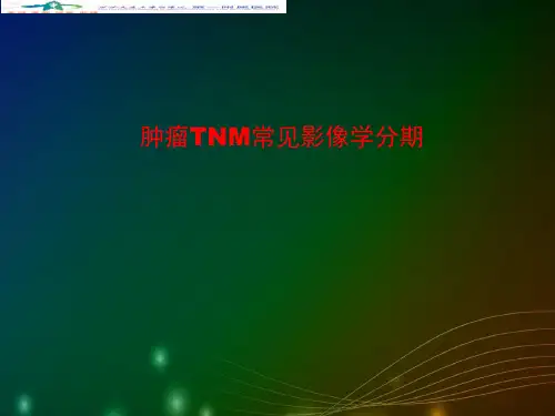 常见肿瘤影像学分期