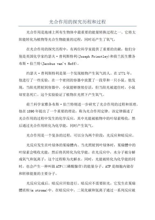 光合作用的探究历程和过程