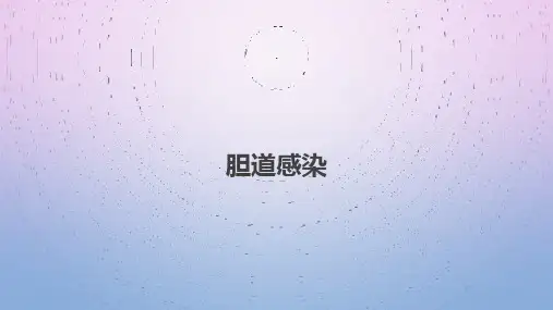 胆道感染 