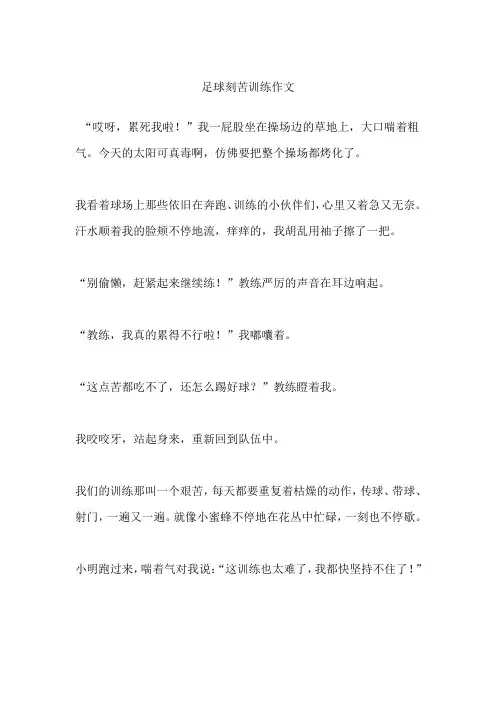 足球刻苦训练作文