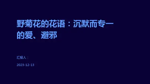 野菊花的花语：沉默而专一的爱、避邪
