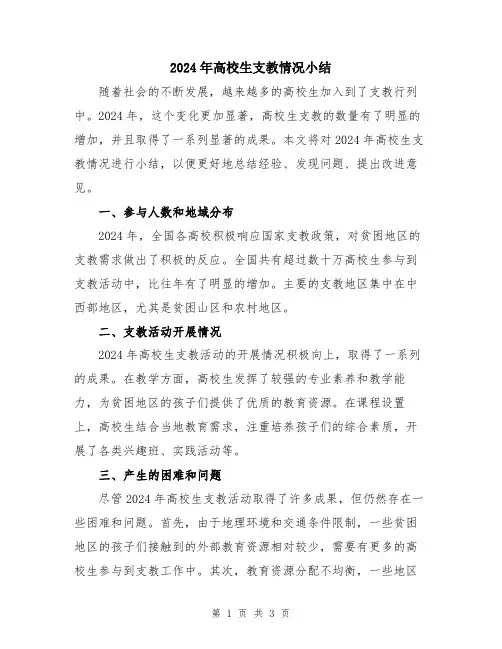 2024年高校生支教情况小结