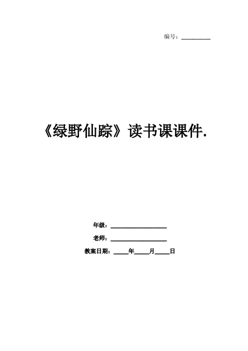 《绿野仙踪》读书课课件