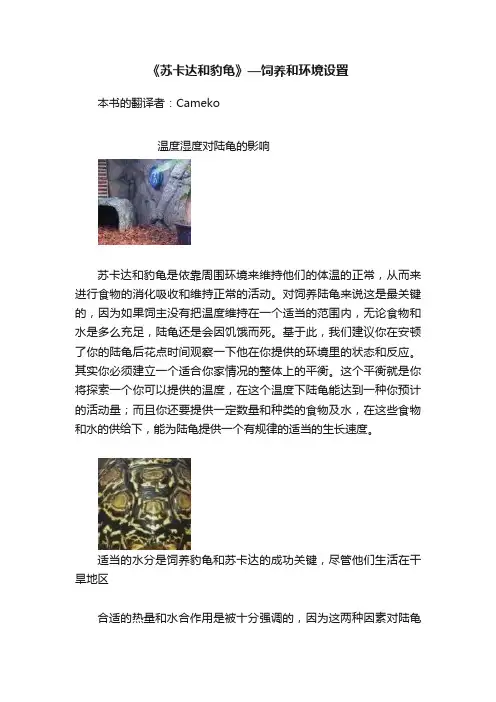 《苏卡达和豹龟》—饲养和环境设置