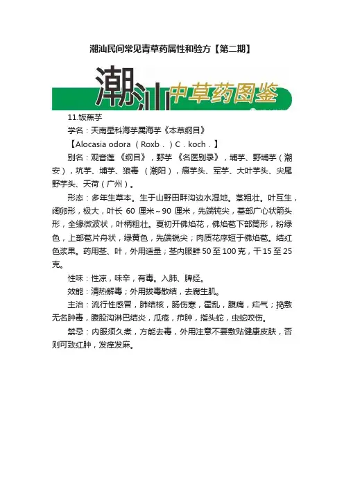 潮汕民间常见青草药属性和验方【第二期】