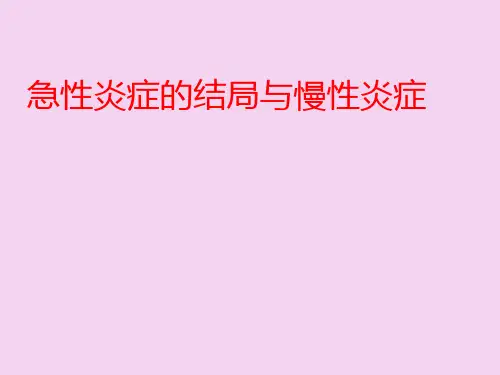 急性炎症的结局与慢性炎症ppt课件