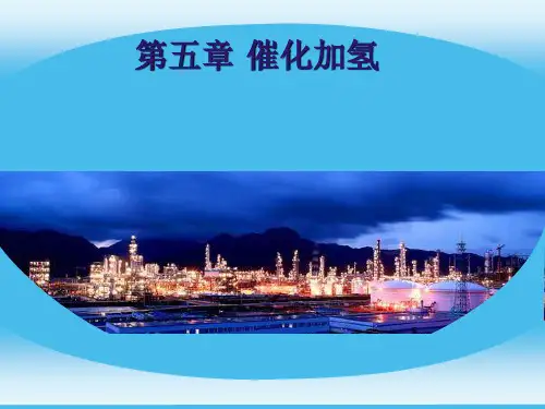 催化加氢催化剂..