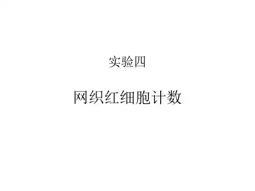网织红细胞计数