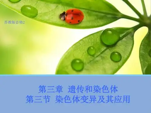 高中生物(苏教版必修2)第三章教学课件-3.3 染色体变异及其应用 (共50张PPT)