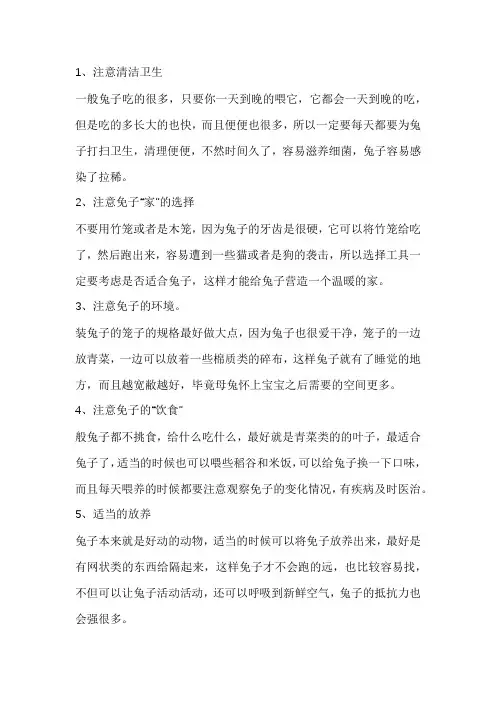 养兔子的方法和注意事项