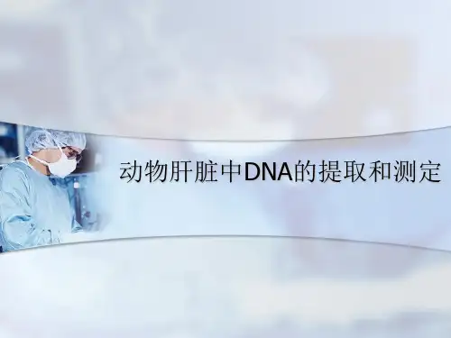 生化实验课件-动物肝脏中DNA的提取和测定