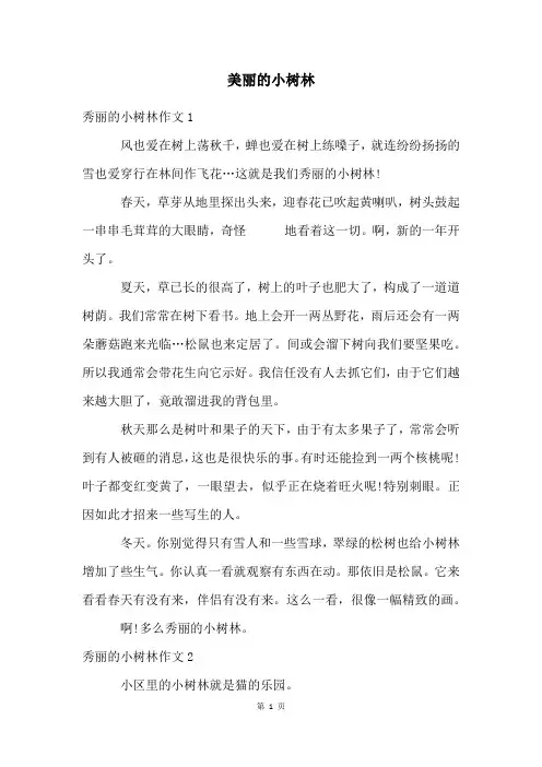 美丽的小树林