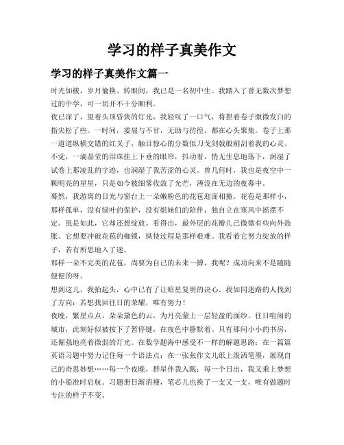 学习的样子真美作文