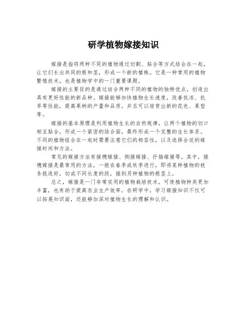 研学植物嫁接知识