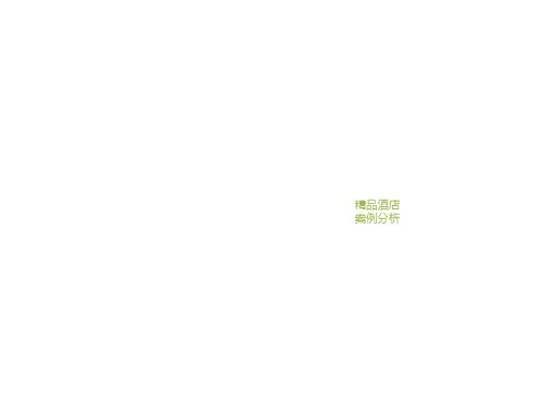 酒店设计案例分析PPT课件